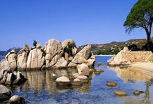 科斯塔斯·马诺拉斯，这位足坛铁卫有着怎样的职业生涯轨迹？